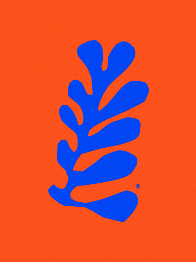 Maison Matisse Maison Matisse